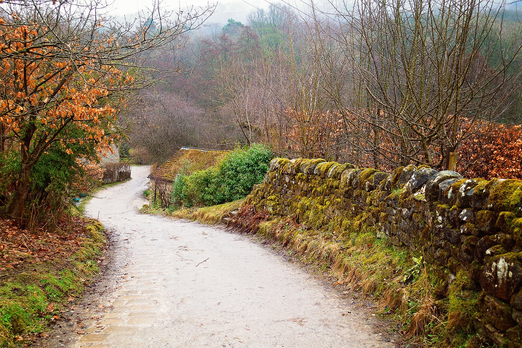 Padley Gorge walk in the Peak District
