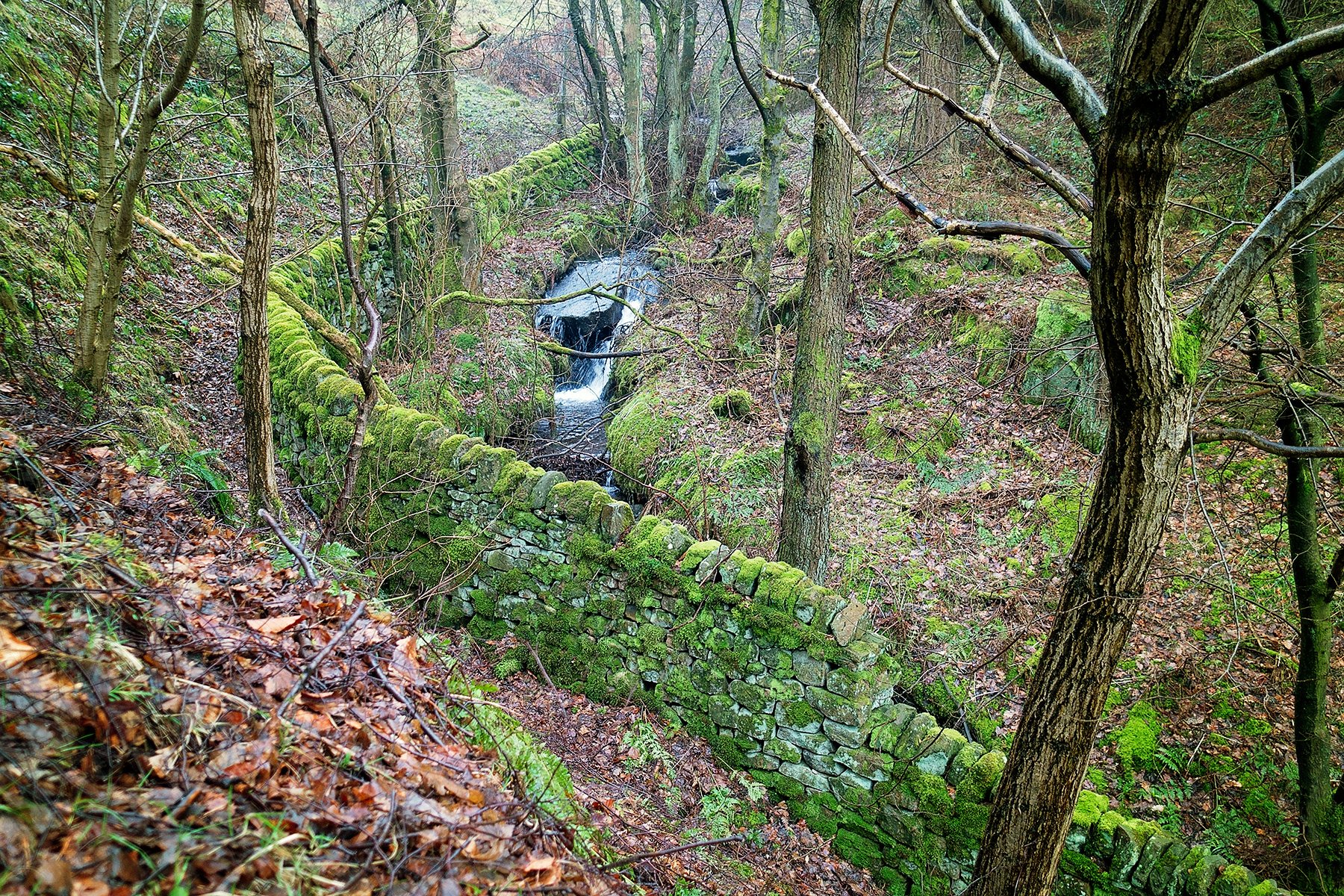 Beautiful Padley Gorge walk in the Peak District