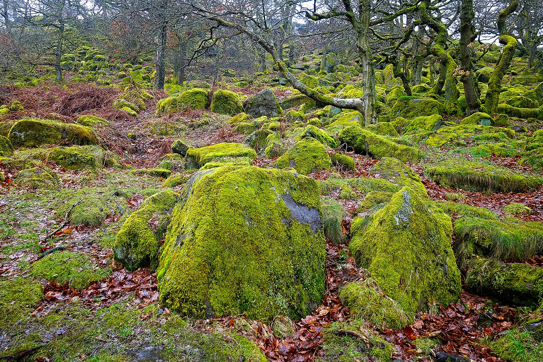 Padley Gorge walk in the Peak District