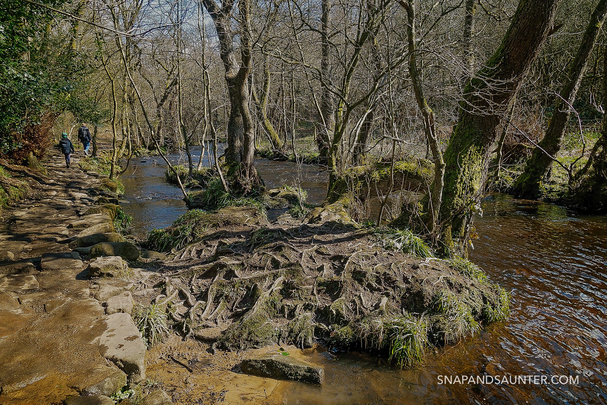 Rivelin Valley Spring RIVELIN VALLEY NATURE AND HERITAGE TRAIL, SHEFFIELD, SOUTH YORKSHIRE ...