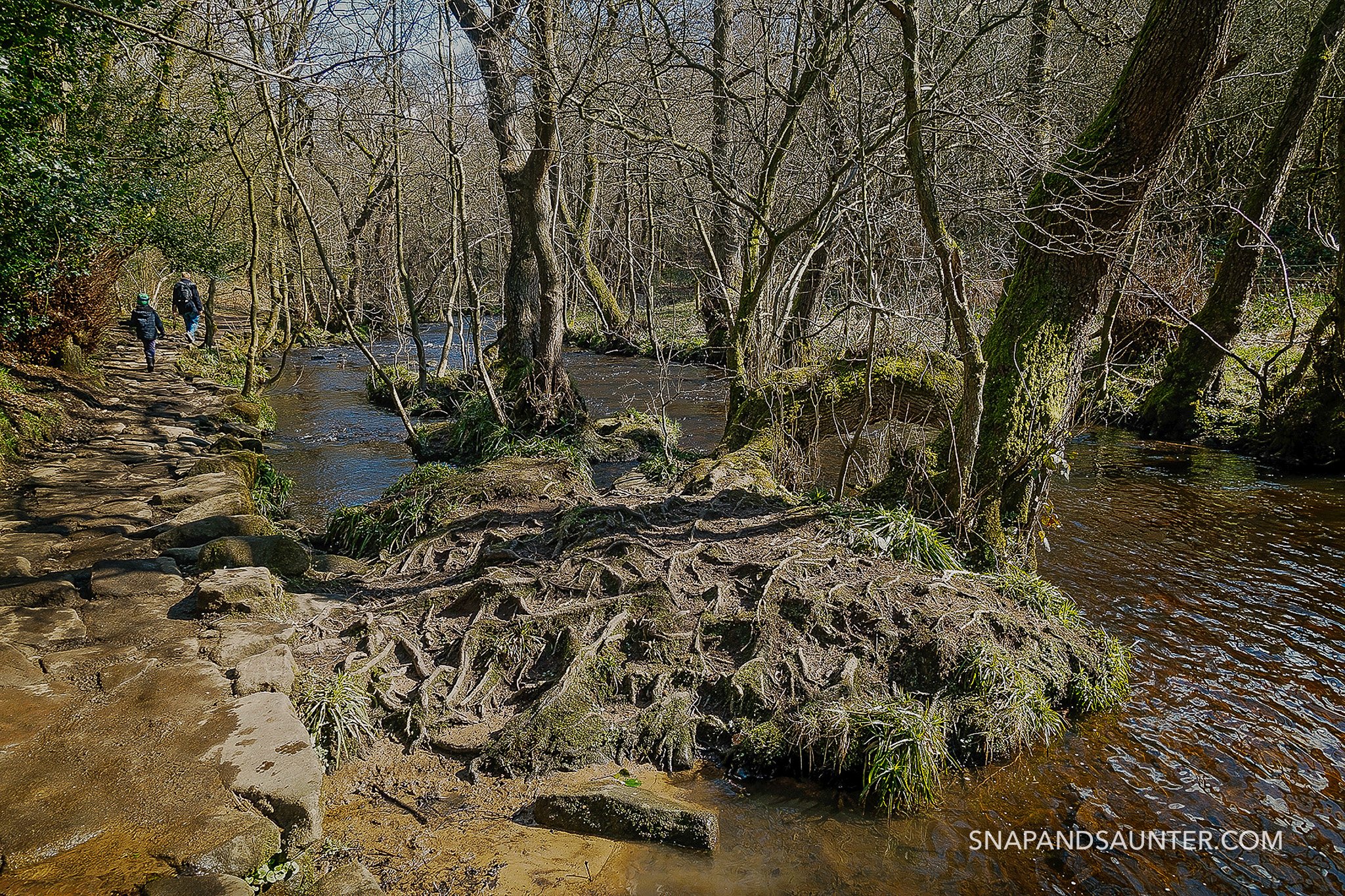 Rivelin Valley in Sheffield
