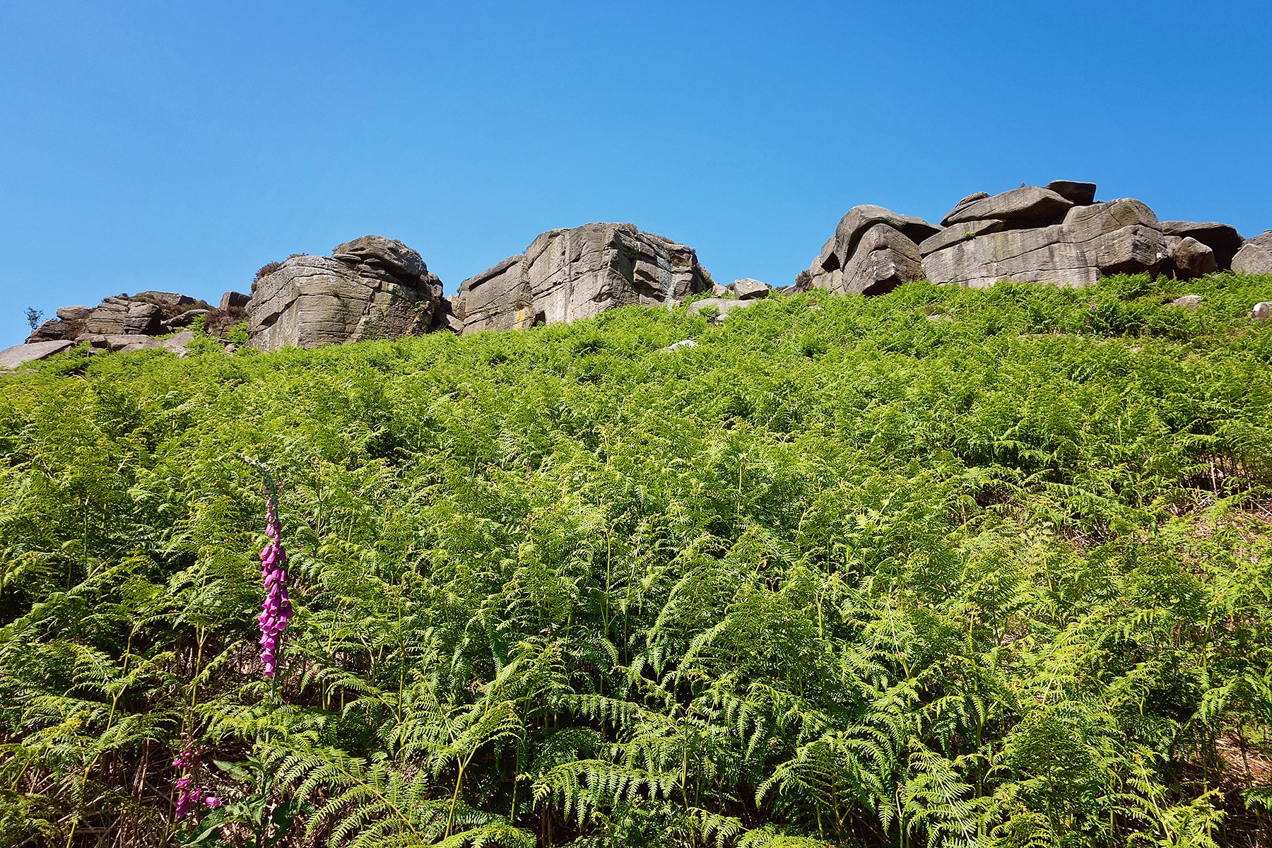 Higger Tor and Carl Wark