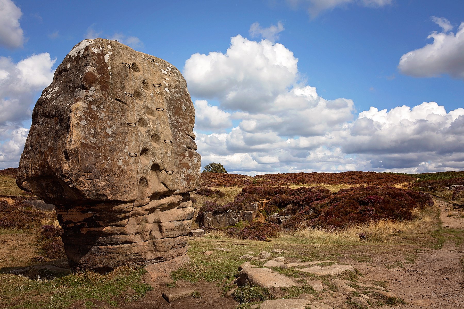 Heather walk in Stanton Moor