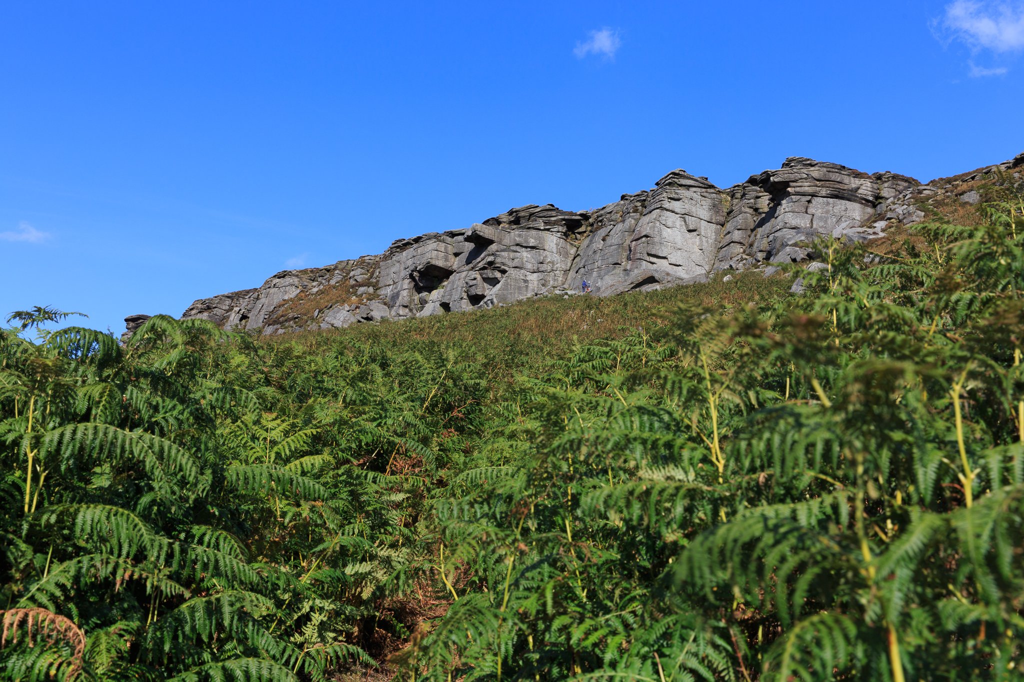 Stanage Edge Sheffield Plantation