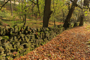 Blacka Moor in Sheffield