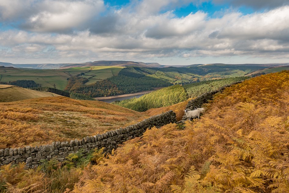 Derwent Edge walk in Derbyshire