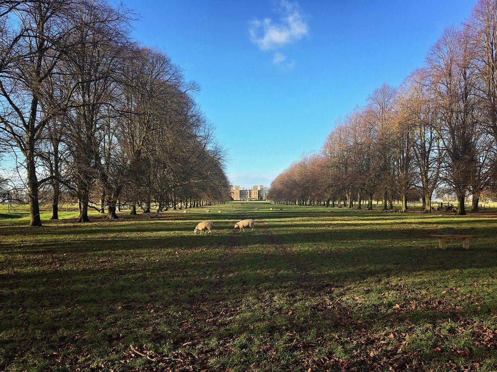 December walk challenge