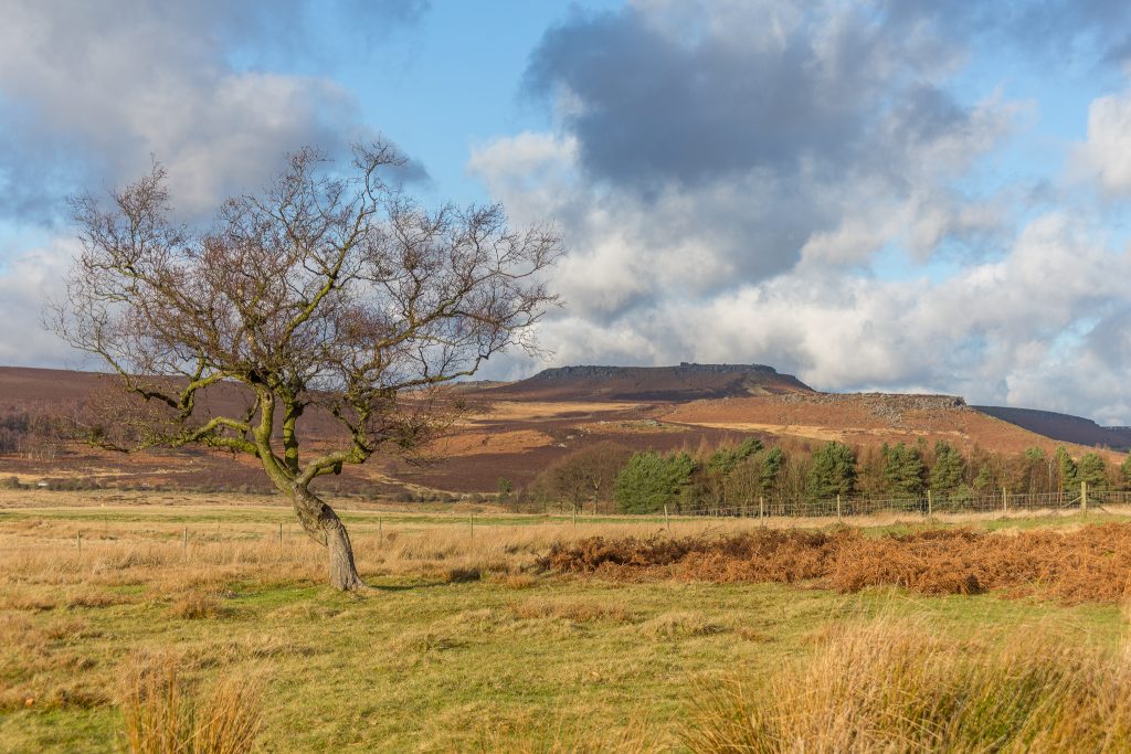 December walk challenge in Longshaw