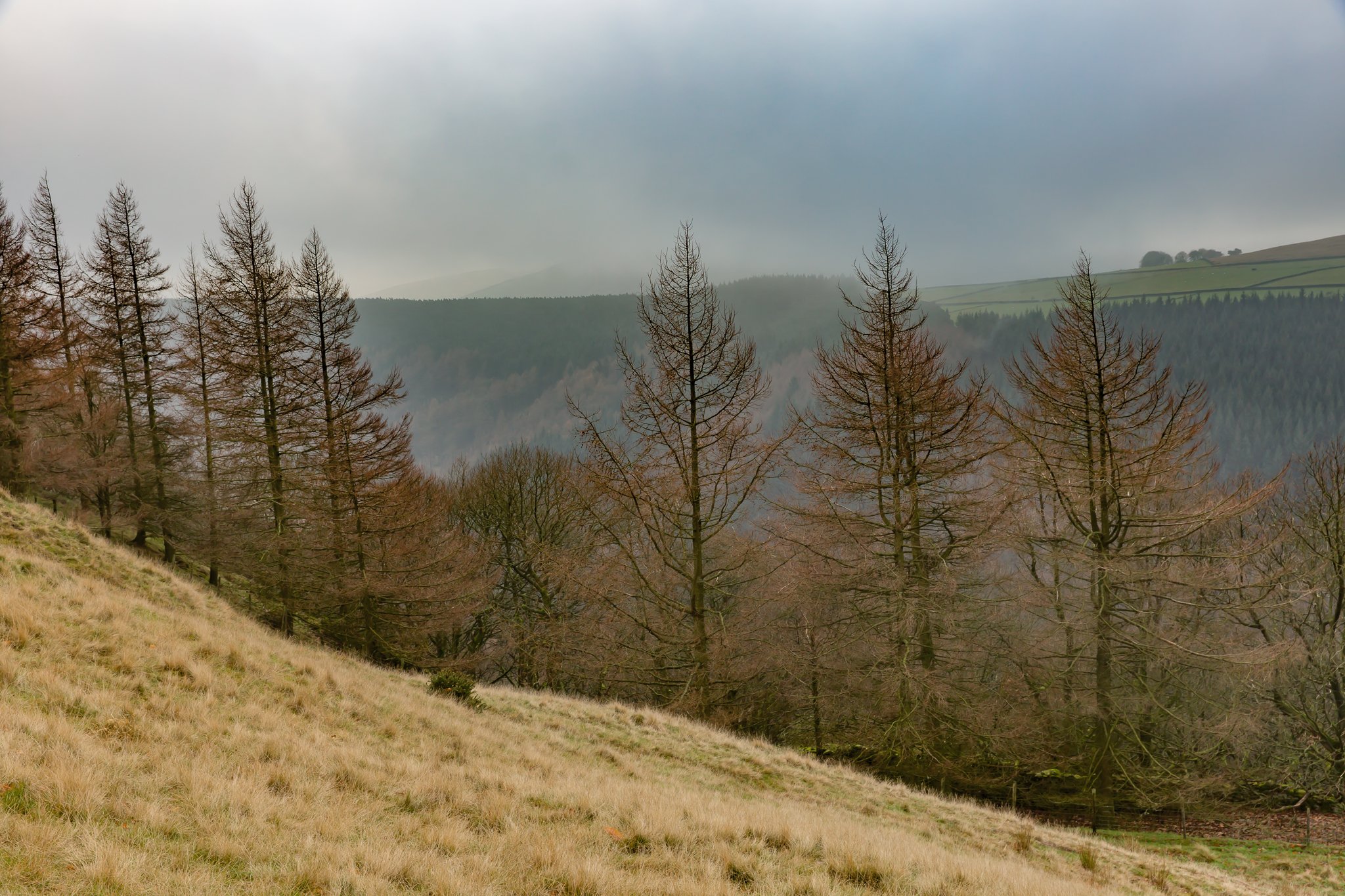 Crook Hill