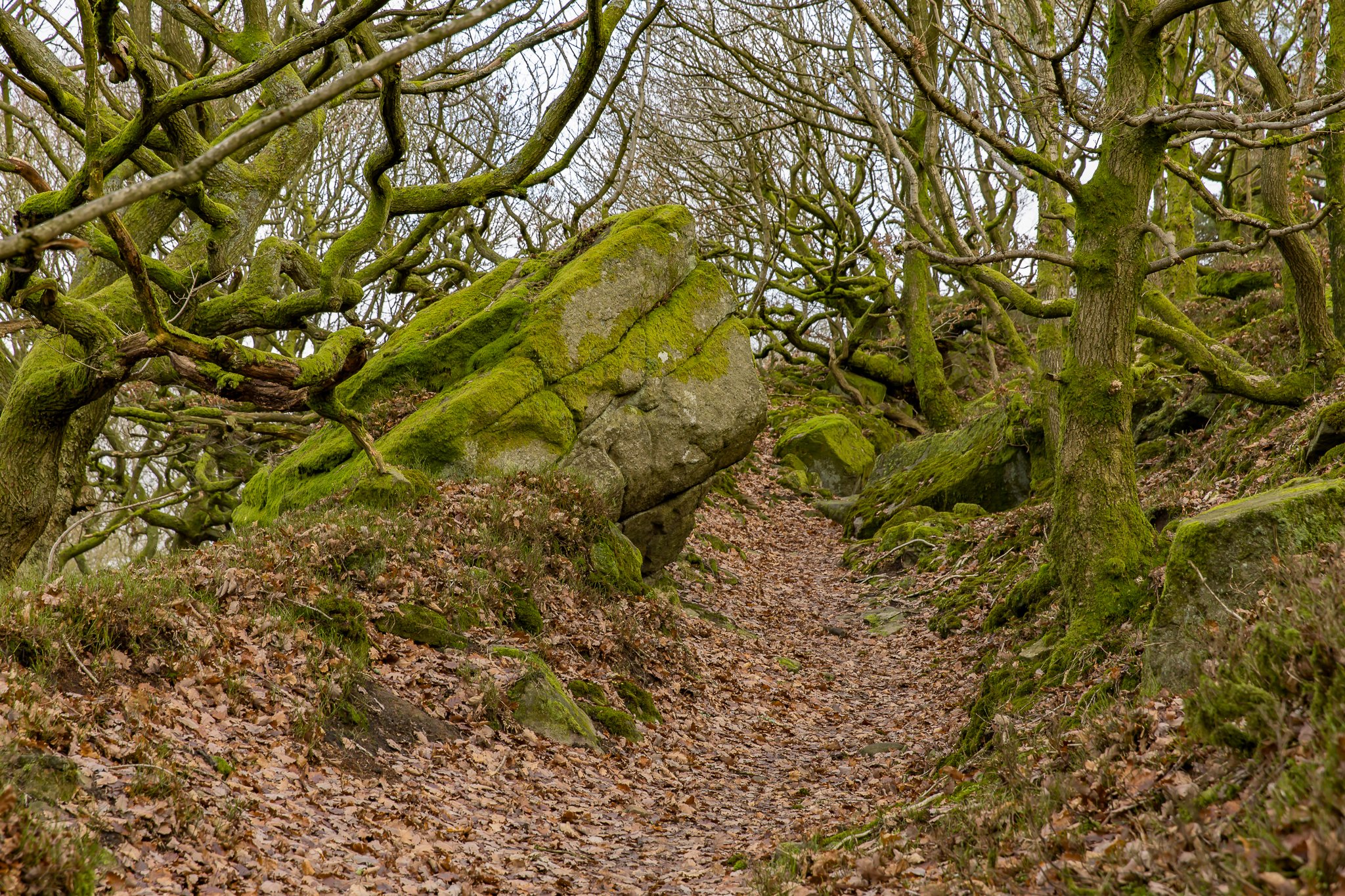 bamford edge