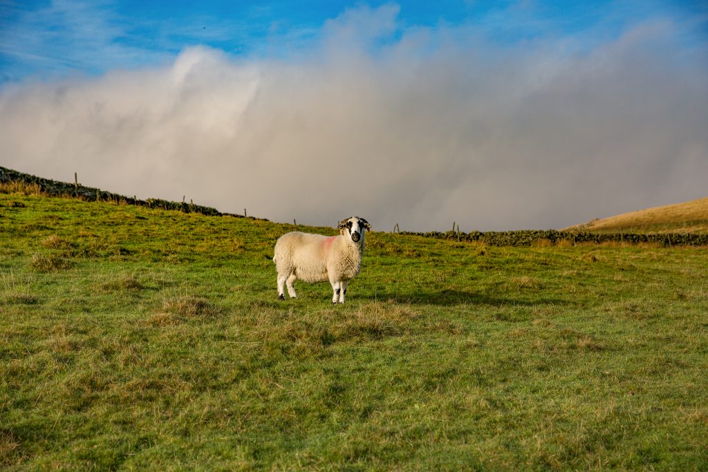 Alport Castles in Derbyshire