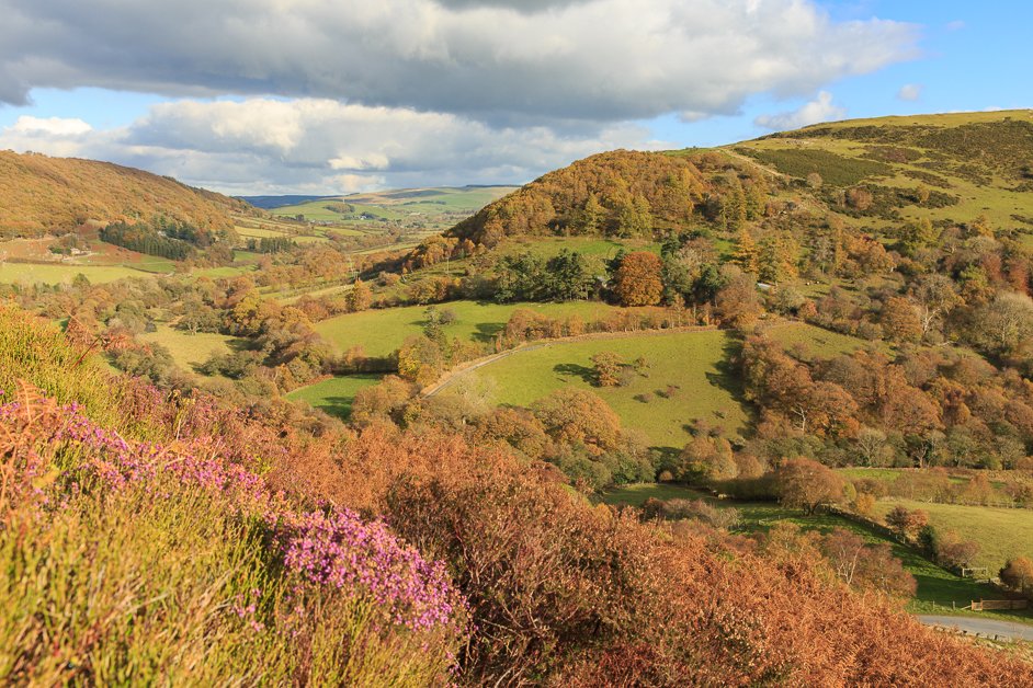 Gilfach nature reserve in Wales