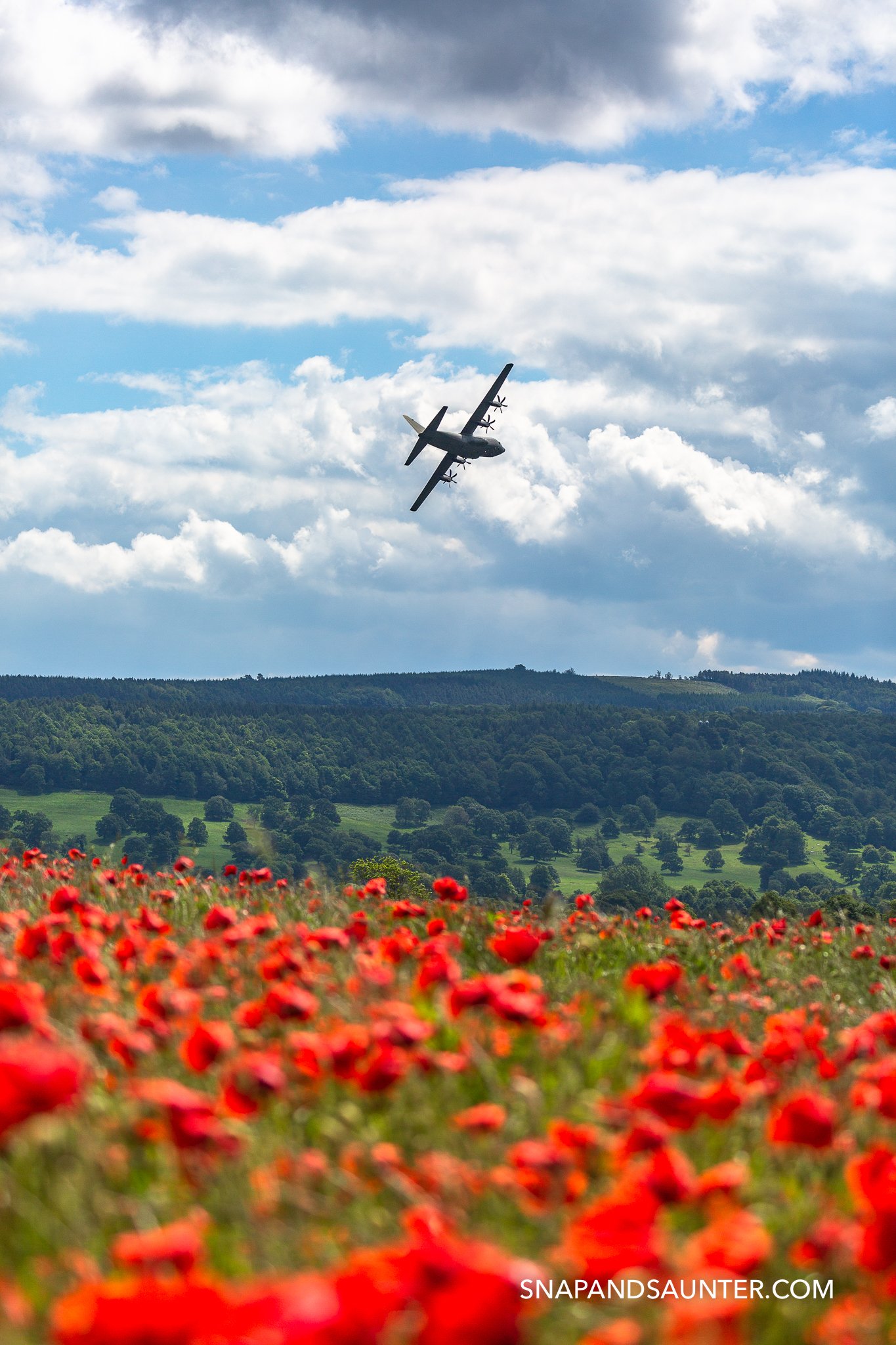 Hercules plane flying over a poppy field