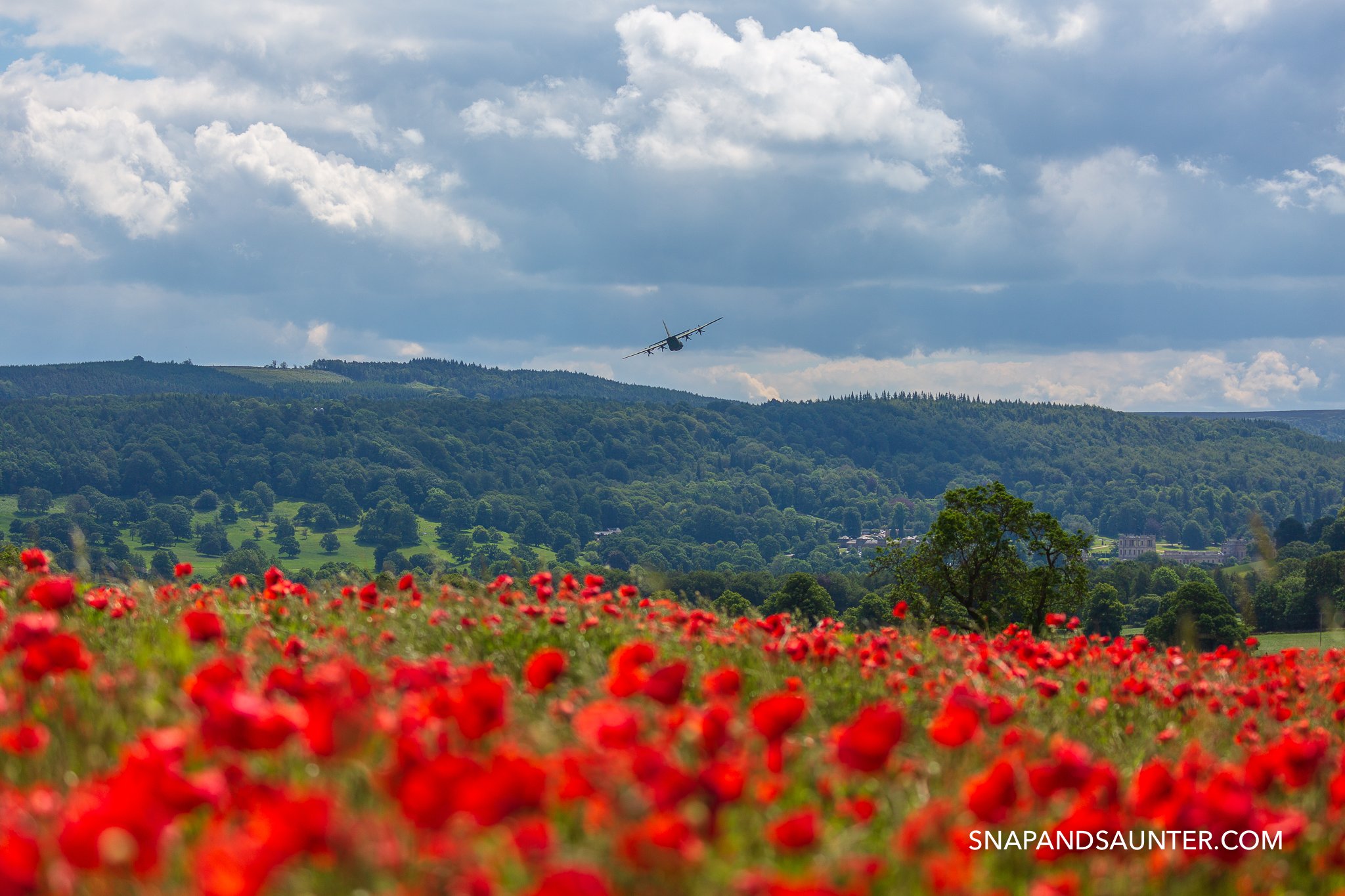 Hercules plane flying over a poppy field