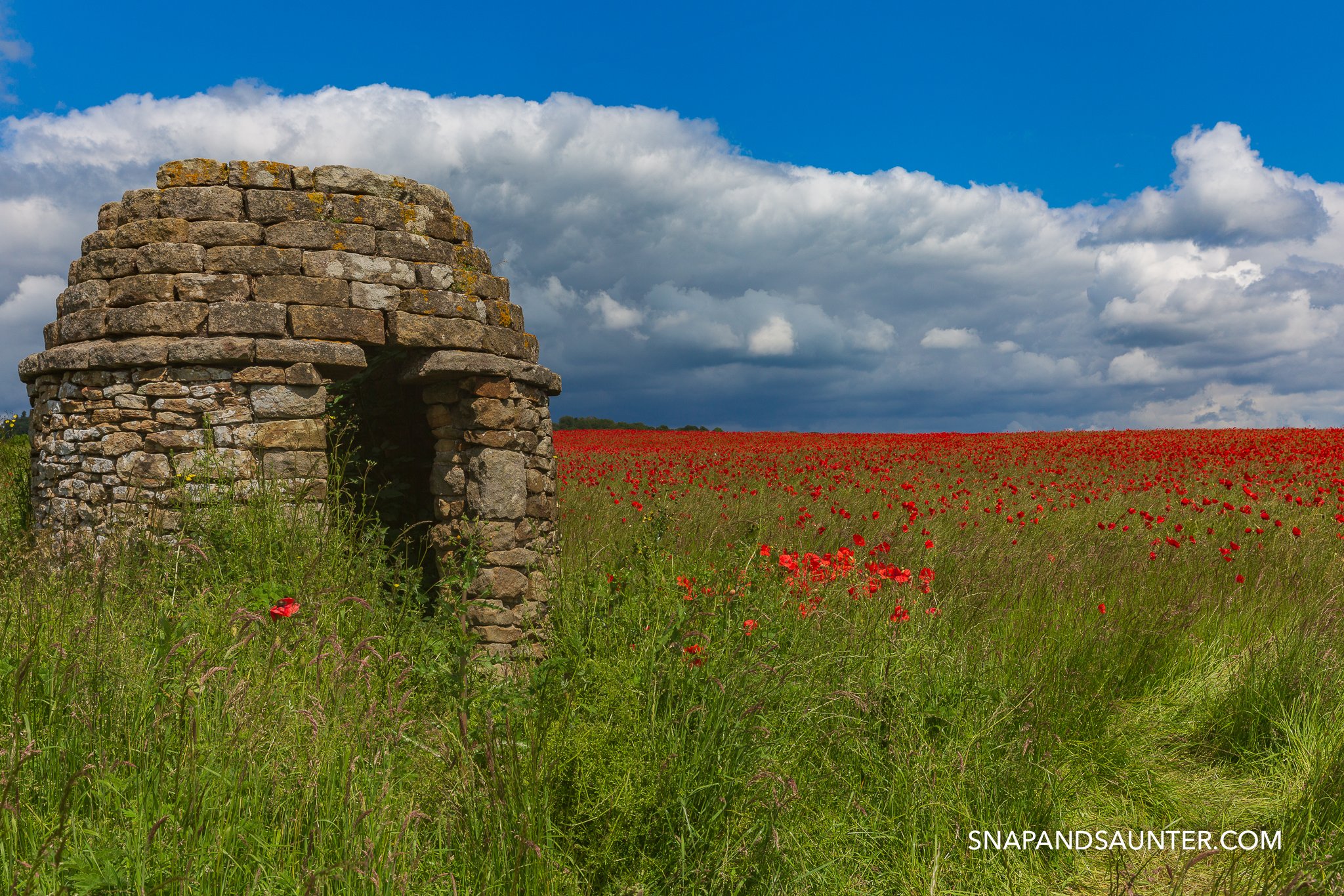 shepherd stone hut in a poppy field