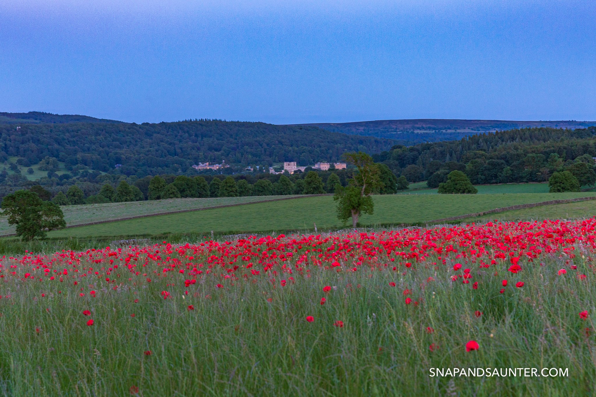 Poppy field overlooking Chatsworth House in the Peak District
