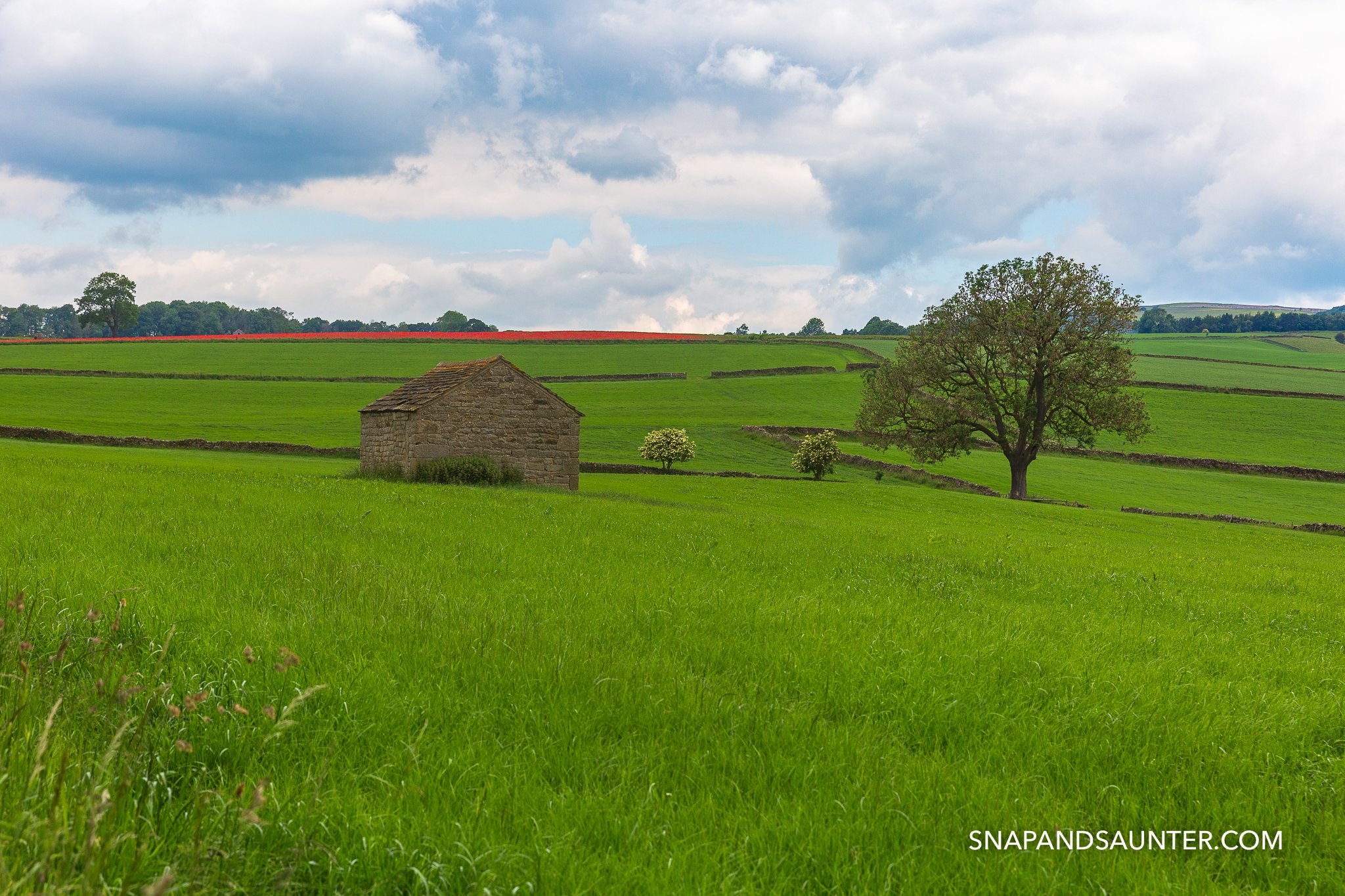 Barn n the field surrounded by a poppy field