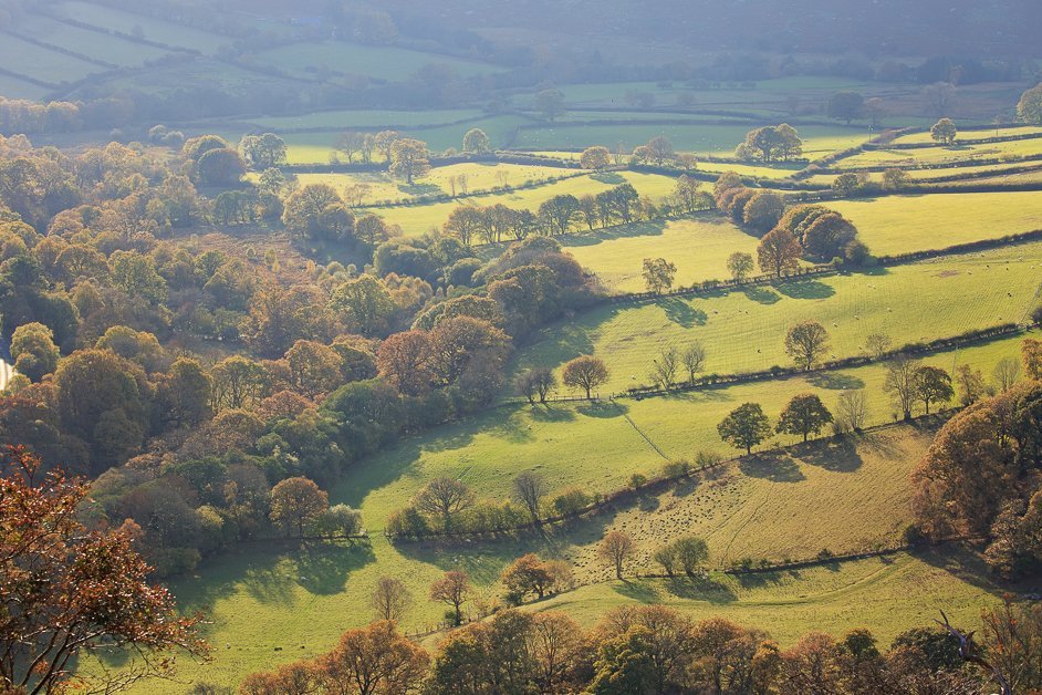 Gilfach Nature Reserve in Mid Wales